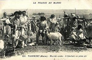 BIVEN Georges - 406- Taourirt